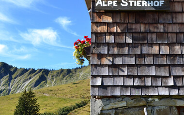 Alpe Stierhof – ein sonniges Plätzchen unterhalb der Ochsenhofer Köpfe | © Kleinwalsertal Tourismus eGen