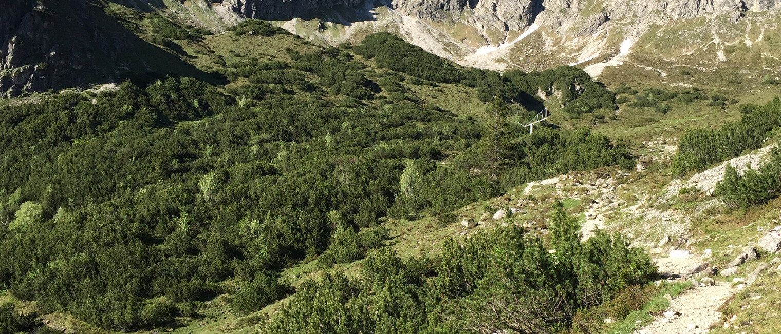 Vor uns die Oberstdorfer Hammerspitze | © Kleinwalsertal Tourismus eGen