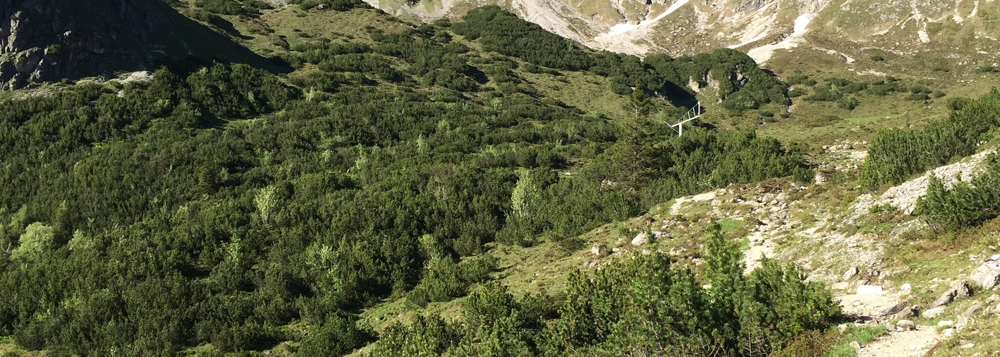 Vor uns die Oberstdorfer Hammerspitze | © Kleinwalsertal Tourismus