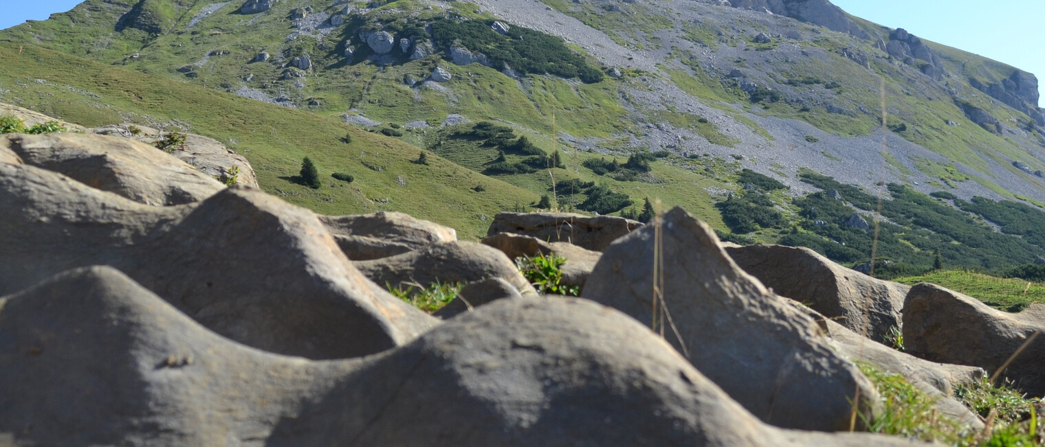 Der Hohe Ifen mit dem typischen Schrattenkalk | © Kleinwalsertal Tourismus eGen