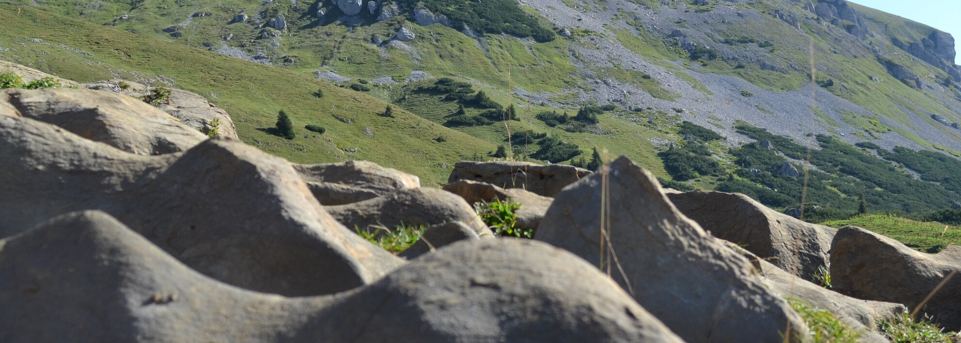 Der Hohe Ifen mit dem typischen Schrattenkalk | © Kleinwalsertal Tourismus eGen