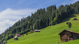 Haspelwald vom Maisässlift aus | © Kleinwalsertal Tourismus eGen
