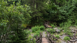 Bärgunttal | © Kleinwalsertal Tourismus eGen | Fotograf: Andre Tappe