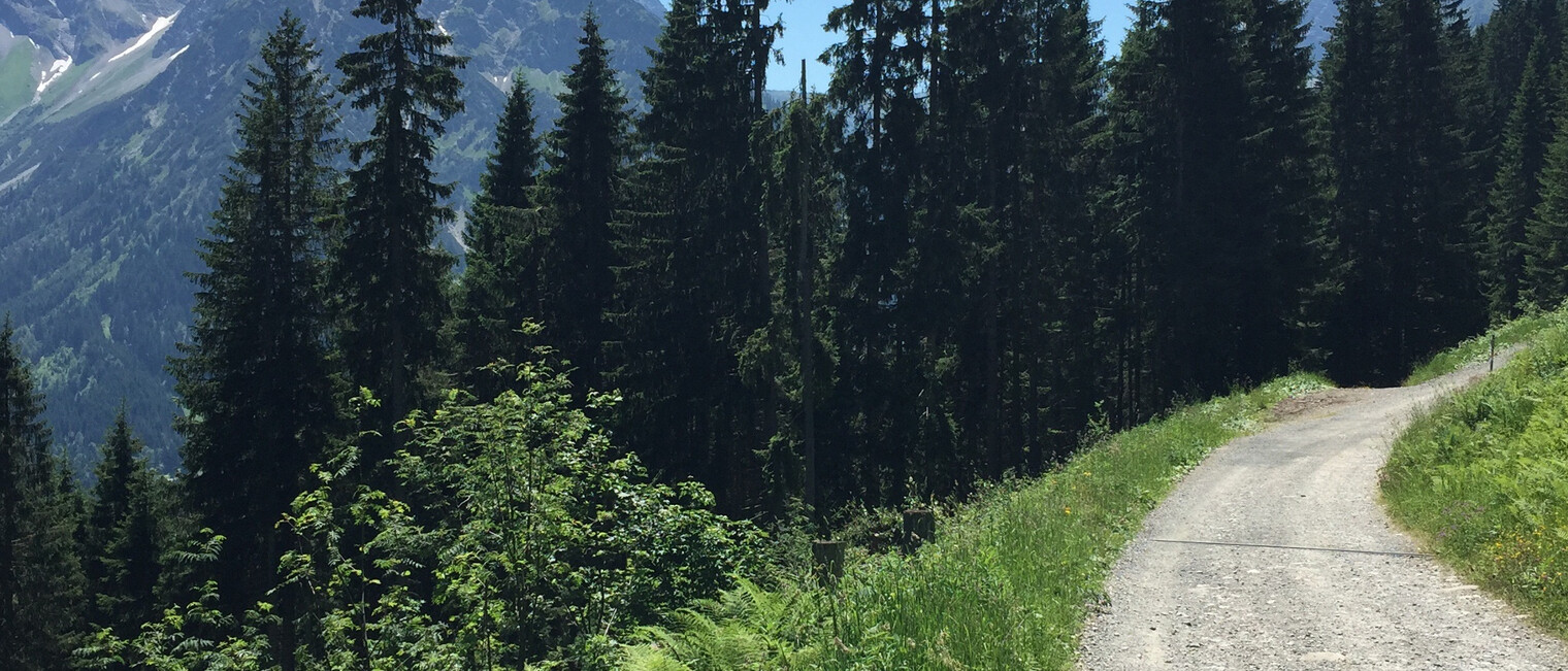 Oberer Höhenweg | © Kleinwalsertal Tourismus eGen