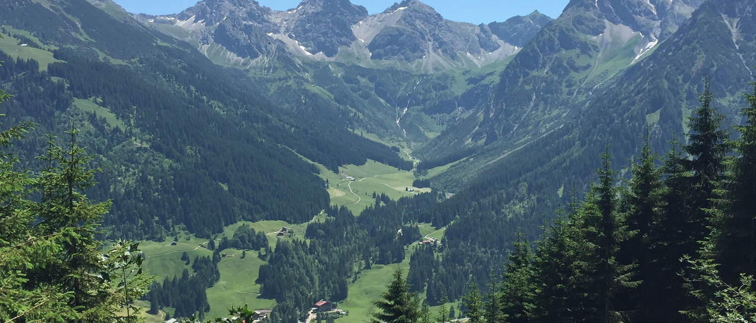 Oberer Höhenweg mit Blick auf die 3-Schafalpköpf | © Kleinwalsertal Tourismus eGen