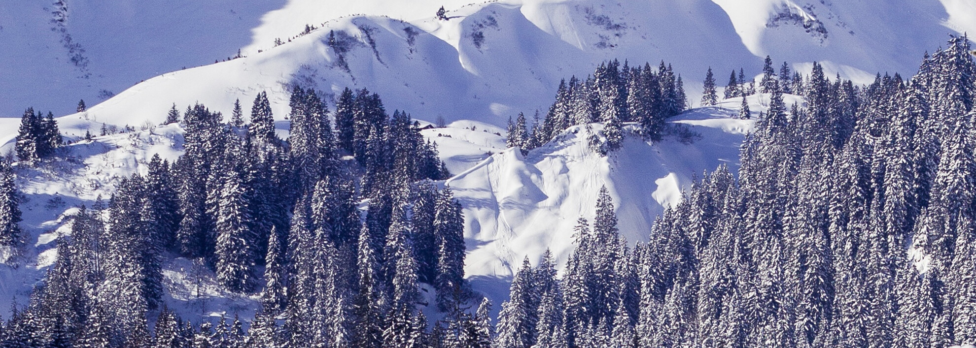 Melköde | © Kleinwalsertal Tourismus eGen | Fotograf @Oliver Farys