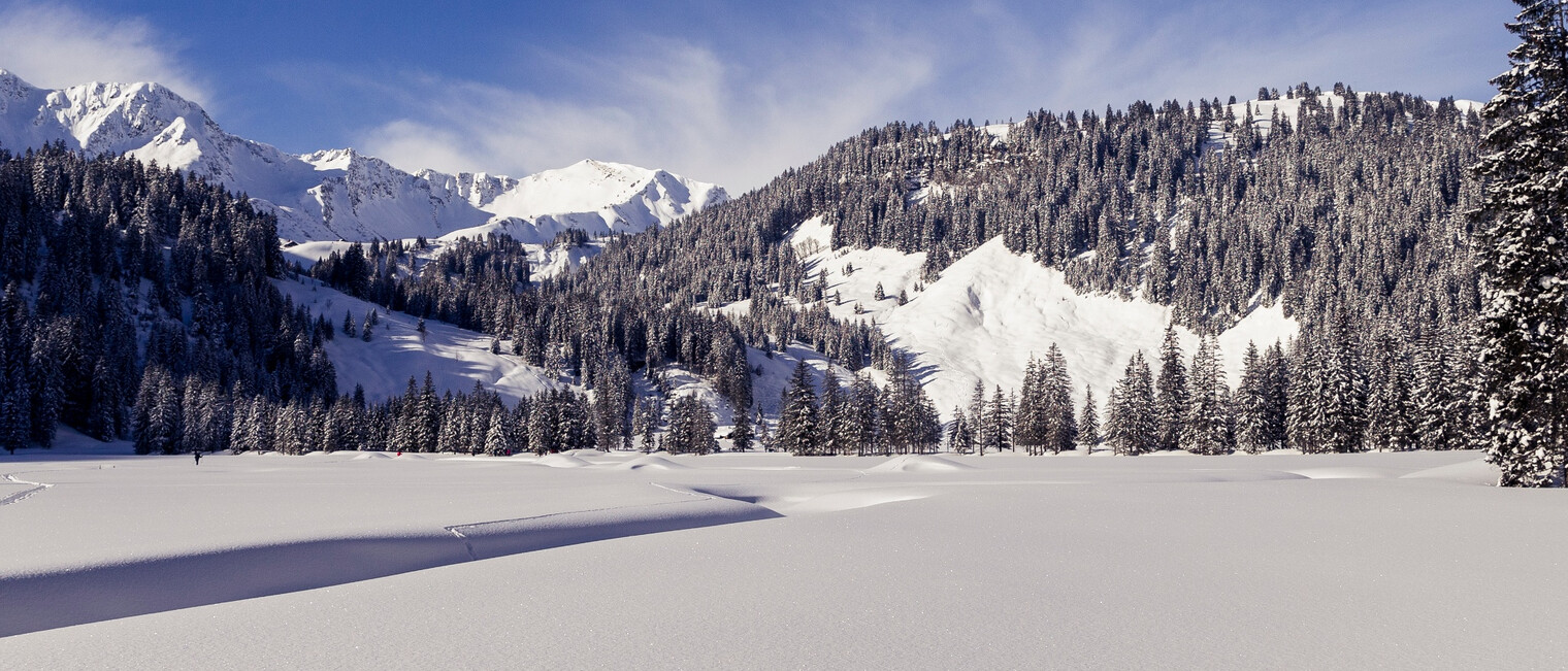 Winterlandschaft Melköde | © Kleinwalsertal Tourismus eGen
