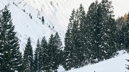 Skitour im Kleinwalsertal | © Kleinwalsertal Tourismus eGen | @Fotograf: Urs Golling