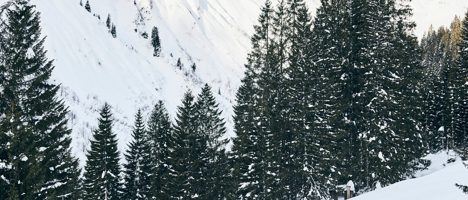 Skitour im Kleinwalsertal | © Kleinwalsertal Tourismus eGen | @Fotograf: Urs Golling