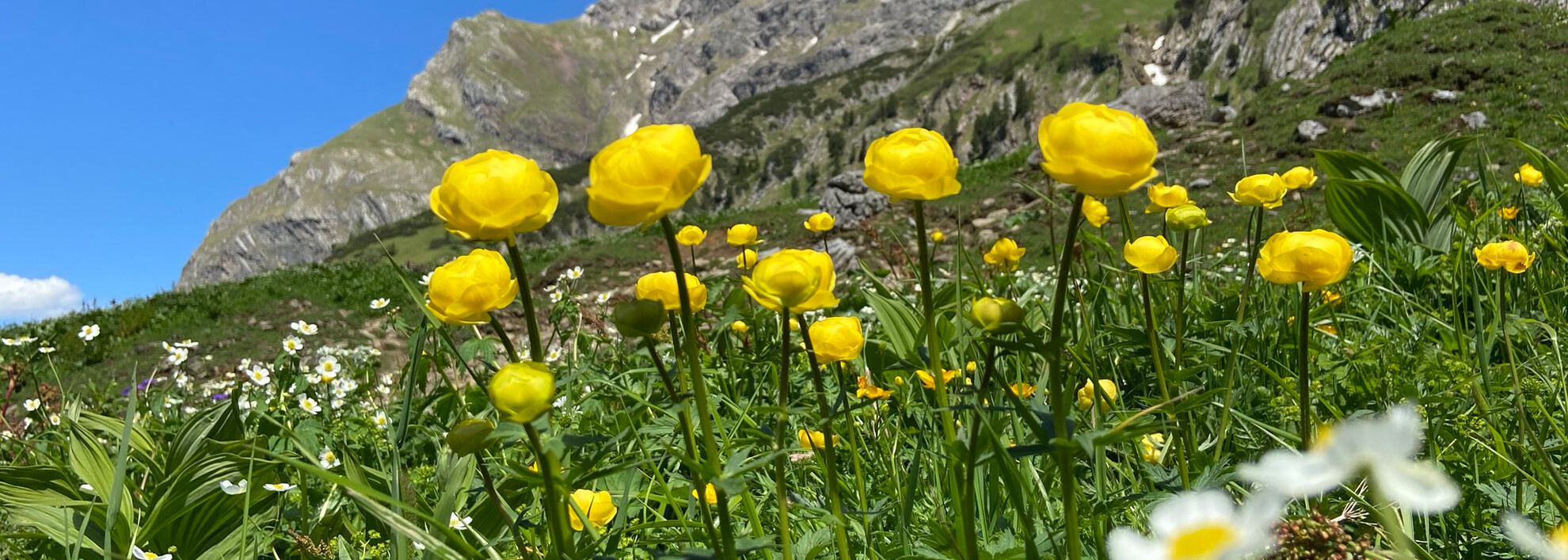 Widderstein | © Kleinwalsertal Tourismus eGen