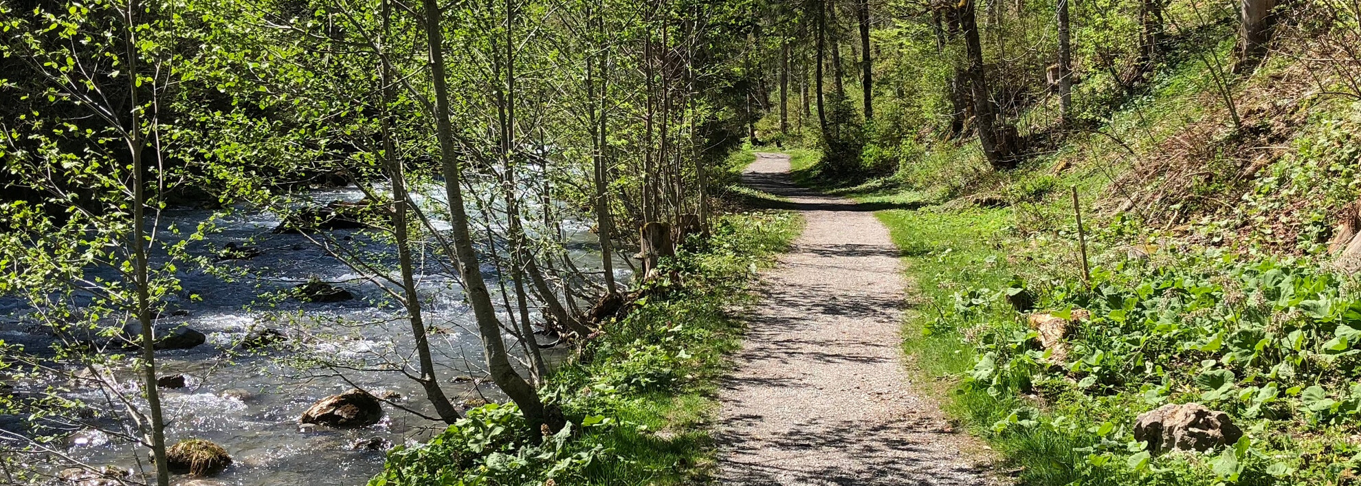 Wanderweg an der Breitach | © Kleinwalsertal Tourismus eGen