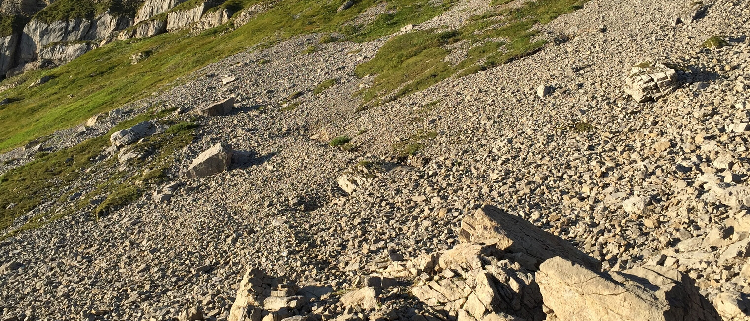 Steiniger Aufstieg zum Plateau | © Kleinwalsertal