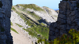 Gipfel des Hahnenköpfle vom Hohen Ifen aus | © Kleinwalsertal