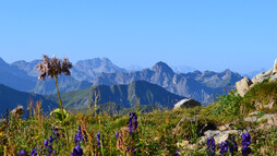 Fantasisches Ifenpanorama | © Kleinwalsertal Tourismus eGen