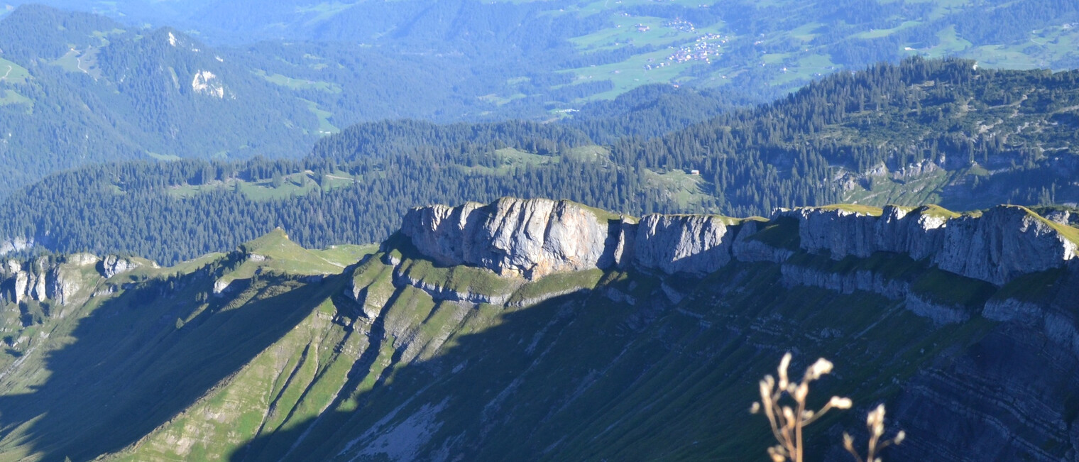 Gottesackerplateau und Ausblick ins Oberallgäu | © Kleinwalsertal