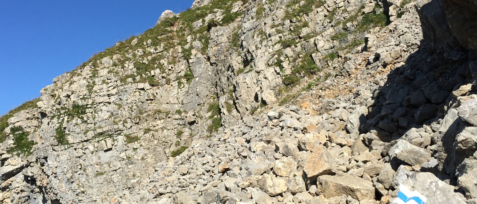 Steiniger Abschnitt auf der Südseite des Ifenplateaus | © Kleinwalsertal