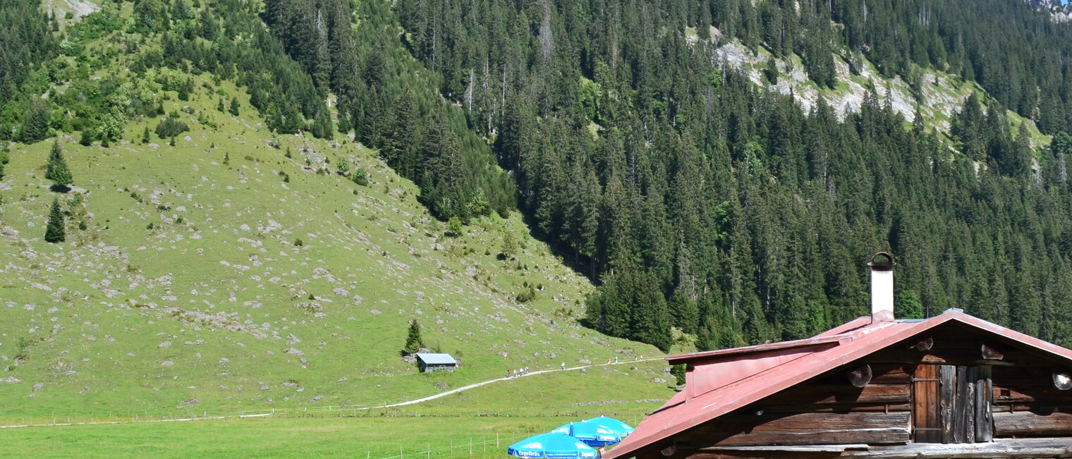 Der Hohe Ifen wacht über die Melköde | © Kleinwalsertal Tourismus eGen