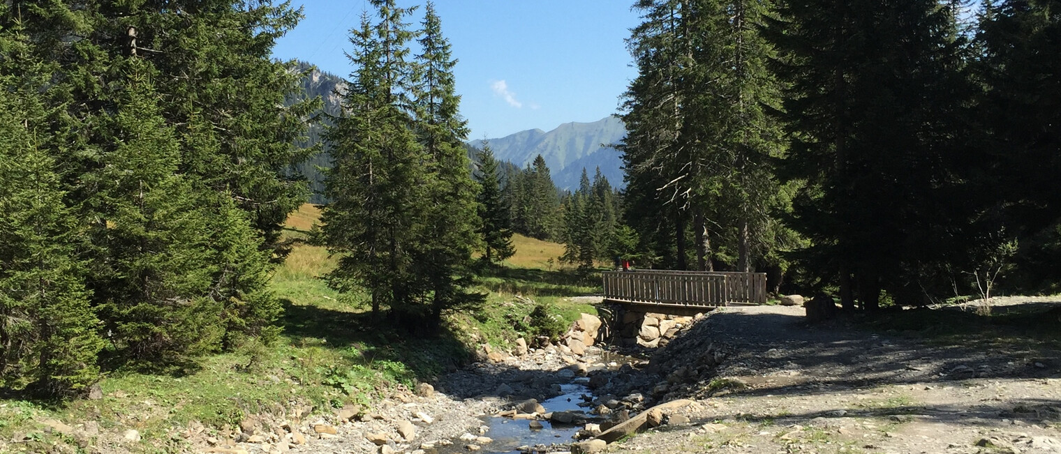 Am Schwarzwasserbach entlang zur Melköde | © Kleinwalsertal Tourismus eGen