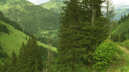 Blick Richtung Unspitze und Walmendingerhorn | © Kleinwalsertal Tourismus eGen