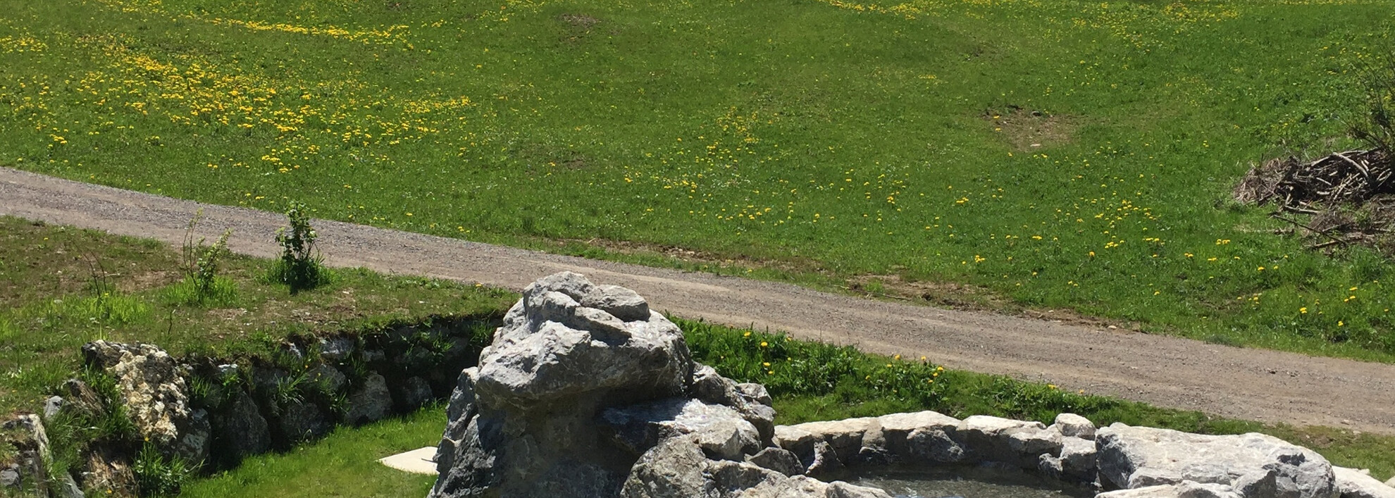 Naturerlebnisplatz Kesselschwand | © Kleinwalsertal Tourismus eGen