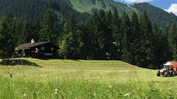 Gemsteltal im Sommer | © Kleinwalsertal Tourismus eGen