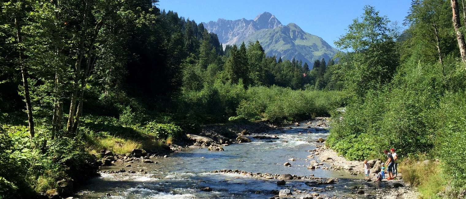 Blick über die Breiach | © Kleinwalsertal Tourismus eGen