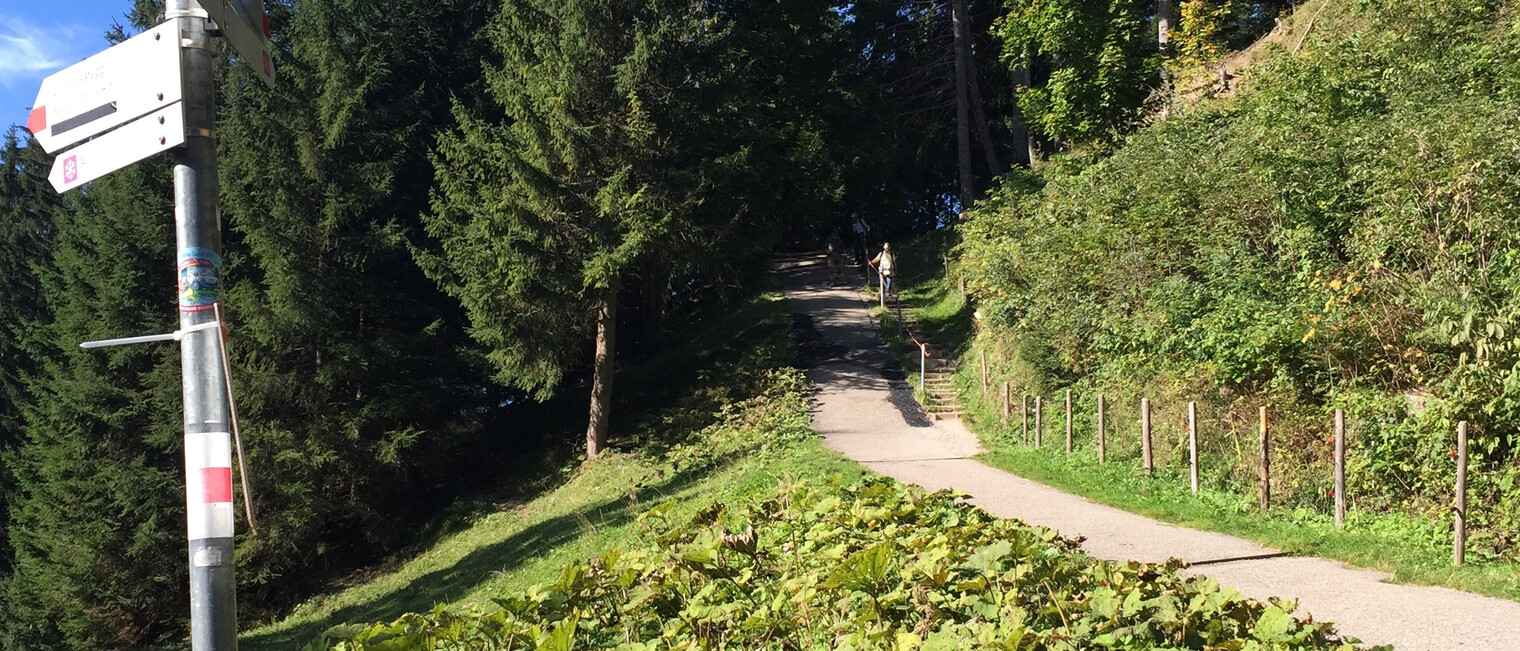 hike in summer from Söllereck to Riezlern | © Kleinwalsertal Tourismus eGen