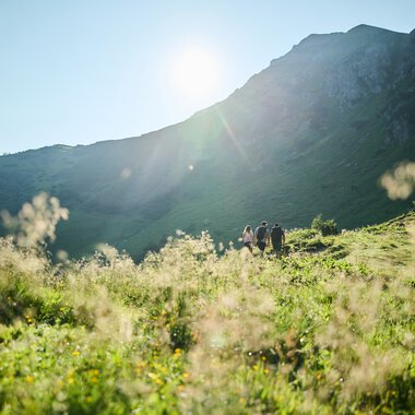 Wanderung Kuhgehren @Kleinwalsertal Tourismus Oliver Farys (378).jpg