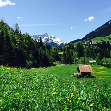 Zwerwald