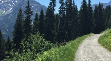 Oberer Höhenweg