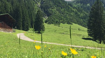 Gemsteltal im Sommer