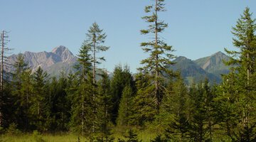 Straußberg
