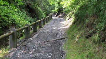 Spazierweg in Hirschegg