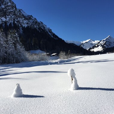 Winterwandern von Bödmen nach Baad