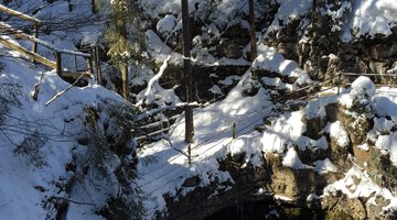 Winterwandern: zur Naturbrücke am Schwarzwasserbach