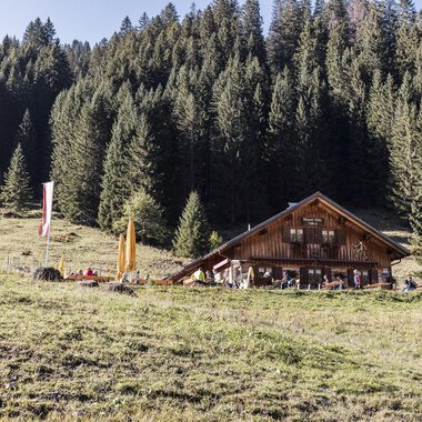 Eine rustikale Hütte inmitten von grünen Wiesen und dichten Nadelbäumen. Der Himmel ist klar und die Umgebung wirkt einladend und friedlich. | © Kleinwalsertal Tourismus | Bastian Morell