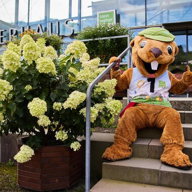 A cheerful mascot sits on a staircase in front of a building. Surrounded by a blooming plant, it smiles and gives a thumbs up. | © Kleinwalsertal Tourismus | Oliver Farys