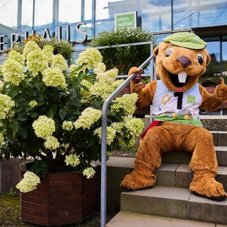 A cheerful mascot sits on a staircase in front of a building. Surrounded by a blooming plant, it smiles and gives a thumbs up. | © Kleinwalsertal Tourismus | Oliver Farys