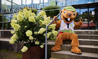 A cheerful mascot sits on a staircase in front of a building. Surrounded by a blooming plant, it smiles and gives a thumbs up. | © Kleinwalsertal Tourismus | Oliver Farys