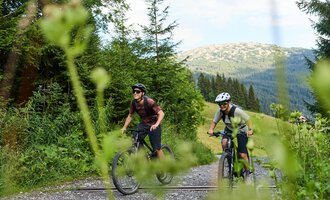 Two cyclists ride on an autumn path through a forest. The colorful leaves and the mountainous landscape in the background create a beautiful outdoor atmosphere. | © Kleinwalsertal Tourismus | Oliver Farys