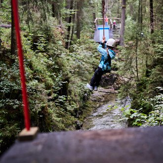 Ein Kind schwingt an einer Seilrutsche zwischen Bäumen in einem grünen Wald. Umgeben von Natur und einem schmalen Bach darunter. | © Kleinwalsertal Tourismus | Oliver Farys