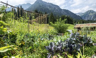 Ein üppiger Garten mit verschiedenen Pflanzen und Gemüse, umgeben von Bergen. Der Himmel ist klar und die natürliche Umgebung ist grün und einladend. | © Kleinwalsertal Tourismus | Dominik Berchtold