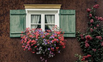 A window with green shutters and a colorful flower box. The flowers are in various colors, creating a lively atmosphere.