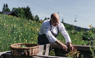 A cook is picking fresh herbs in a meadow. In the background, there are cable cars and a green landscape. | © Das Naturhotel Chesa Valisa