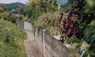 A narrow wooden path leads through a garden with green plants and flowers. In the background, gentle hills and a blue sky can be seen. | © Das Naturhotel Chesa Valisa
