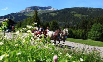 A carriage with horses drives past colorful flowers and green trees. In the background, mountains and a clear blue sky can be seen. | © Kleinwalsertal Tourismus