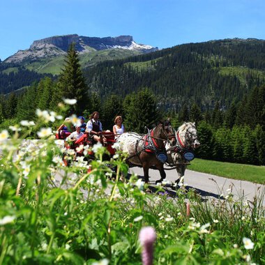 Eine Kutsche mit Pferden fährt an bunten Blumen und grünen Bäumen vorbei. Im Hintergrund sind Berge und ein klarer blauer Himmel zu sehen. | © Kleinwalsertal Tourismus