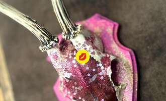 Ein dekorierter Tierkopf mit glitzernden Farben und zwei Geweihen. Der Kopf ist auf einer pinken Trophäenplatte montiert. | © Andrea Kainz