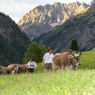 A group of people is herding cows across a green meadow in the mountains. The landscape is surrounded by majestic mountains, and the atmosphere is rural and peaceful. | © Kleinwalsertal Tourismus | Frank Drechsel