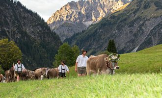 Eine Gruppe von Menschen führt Kühe über eine grüne Wiese in den Bergen. Die Landschaft ist von majestätischen Bergen umgeben, und die Atmosphäre ist ländlich und friedlich.